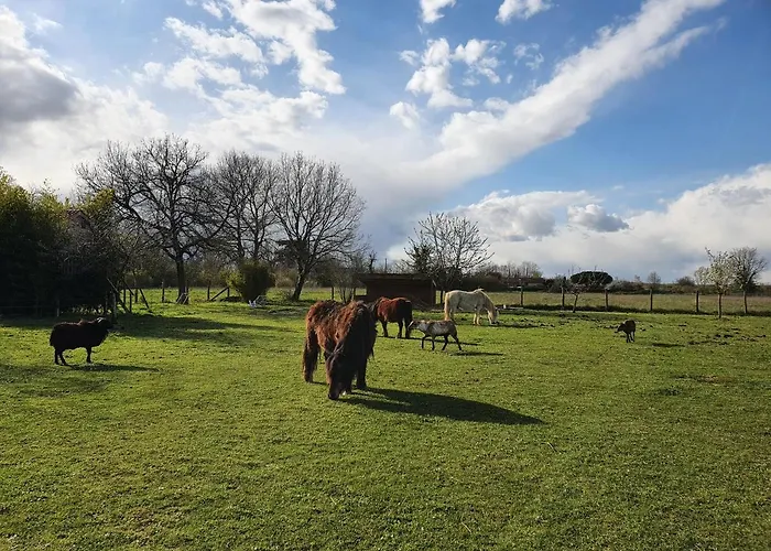 ホテル Les Granges De Jules Lafitte-Vigordanne