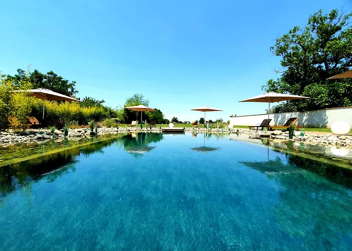 Les Granges De Jules Lafitte-Vigordanne